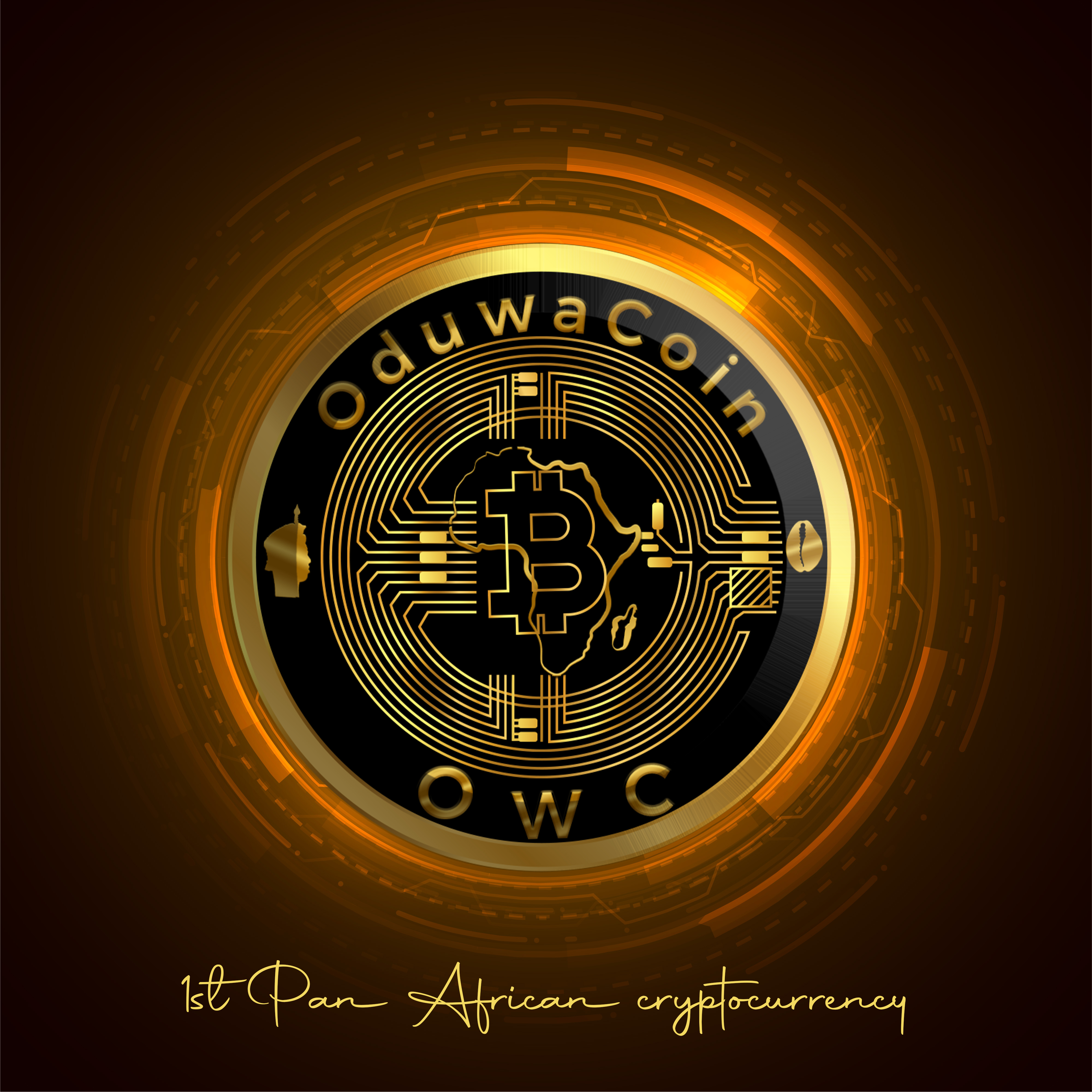 The Economic Impacts Of Adopting Oduwacoin