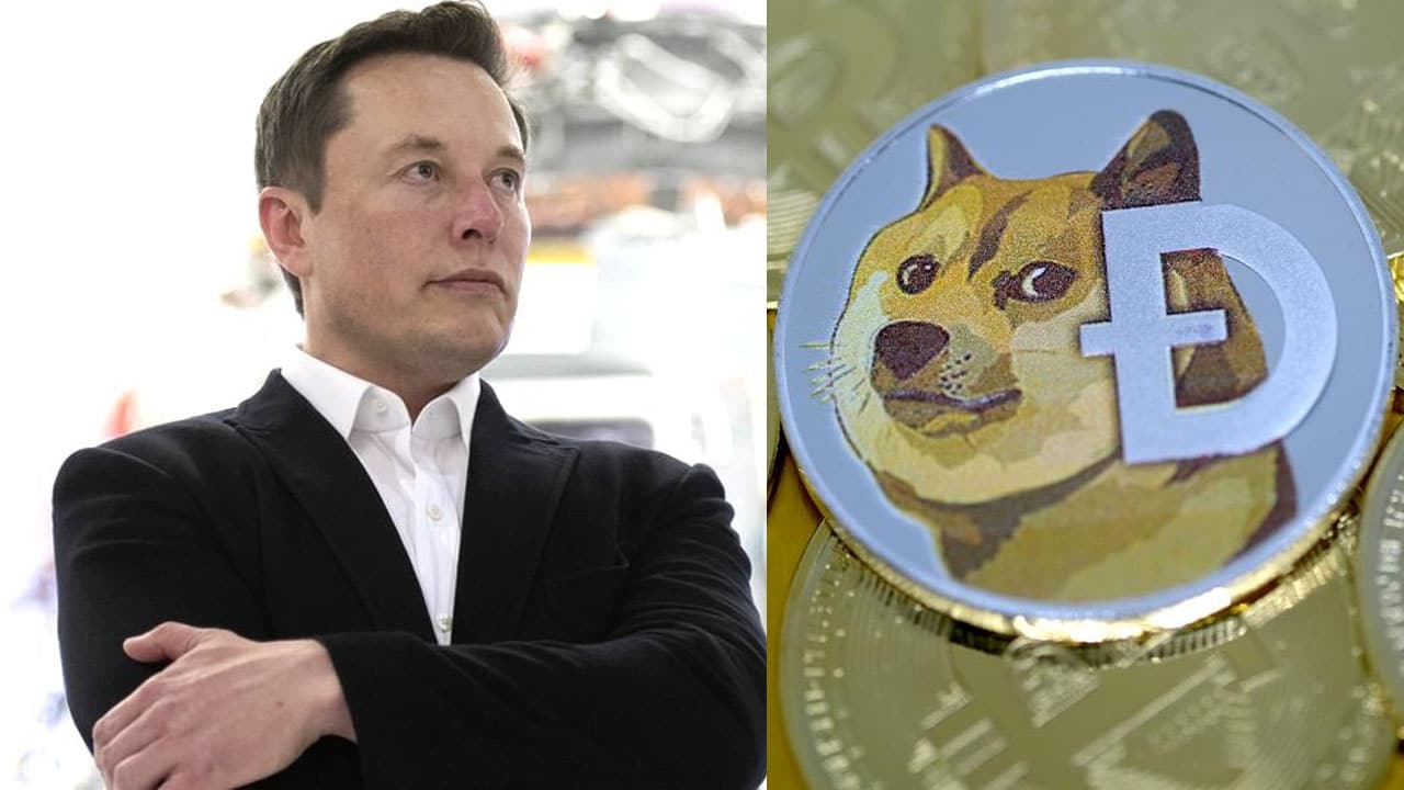 How Elon Musk's Twitter Surged Crypto With Meme-inspired Logo