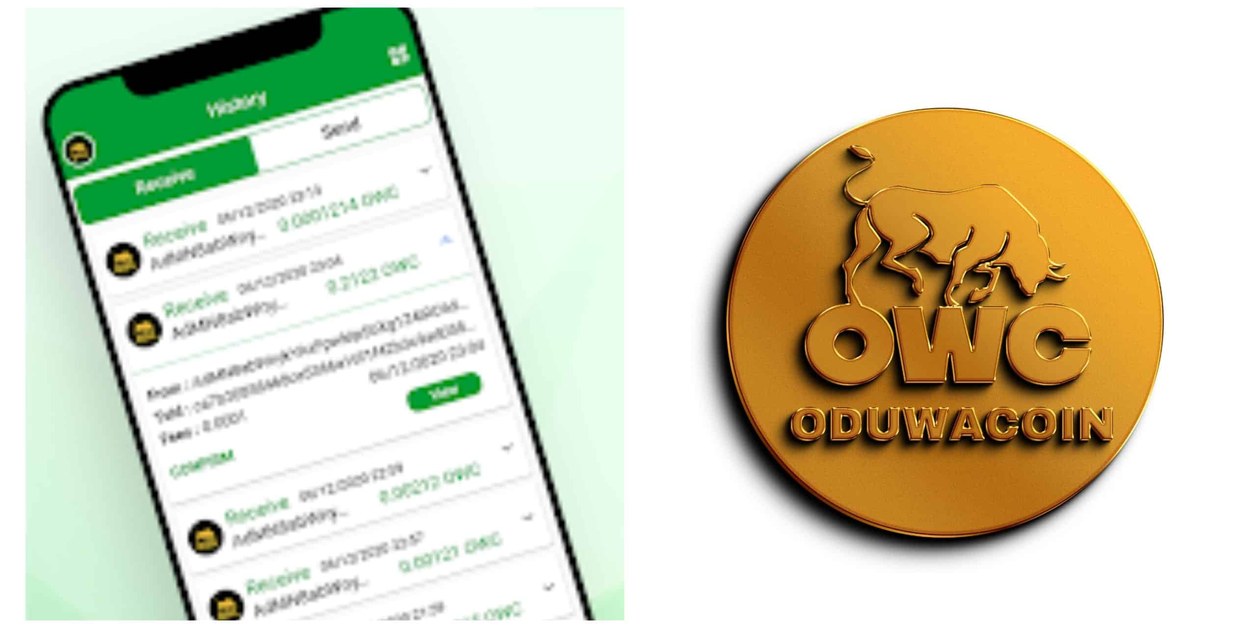 Safeguarding Your Oduwacoin Assets: The Ultimate Guard To Secure Wallet Storage