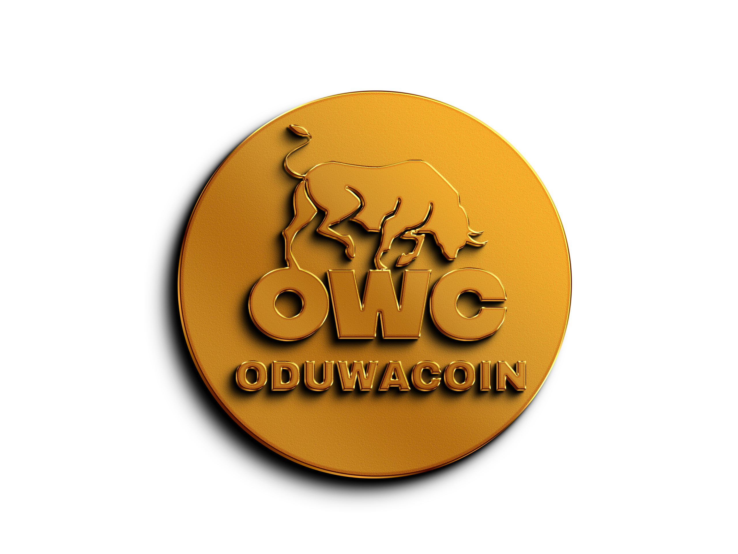 What Determines Crypto Value?the Acceptance of Oduwacoin