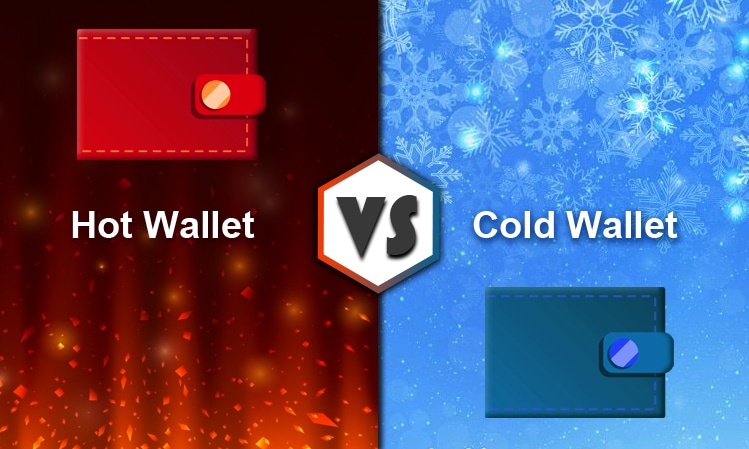 Cold Wallets vs Hot Wallets: Which Is Better?